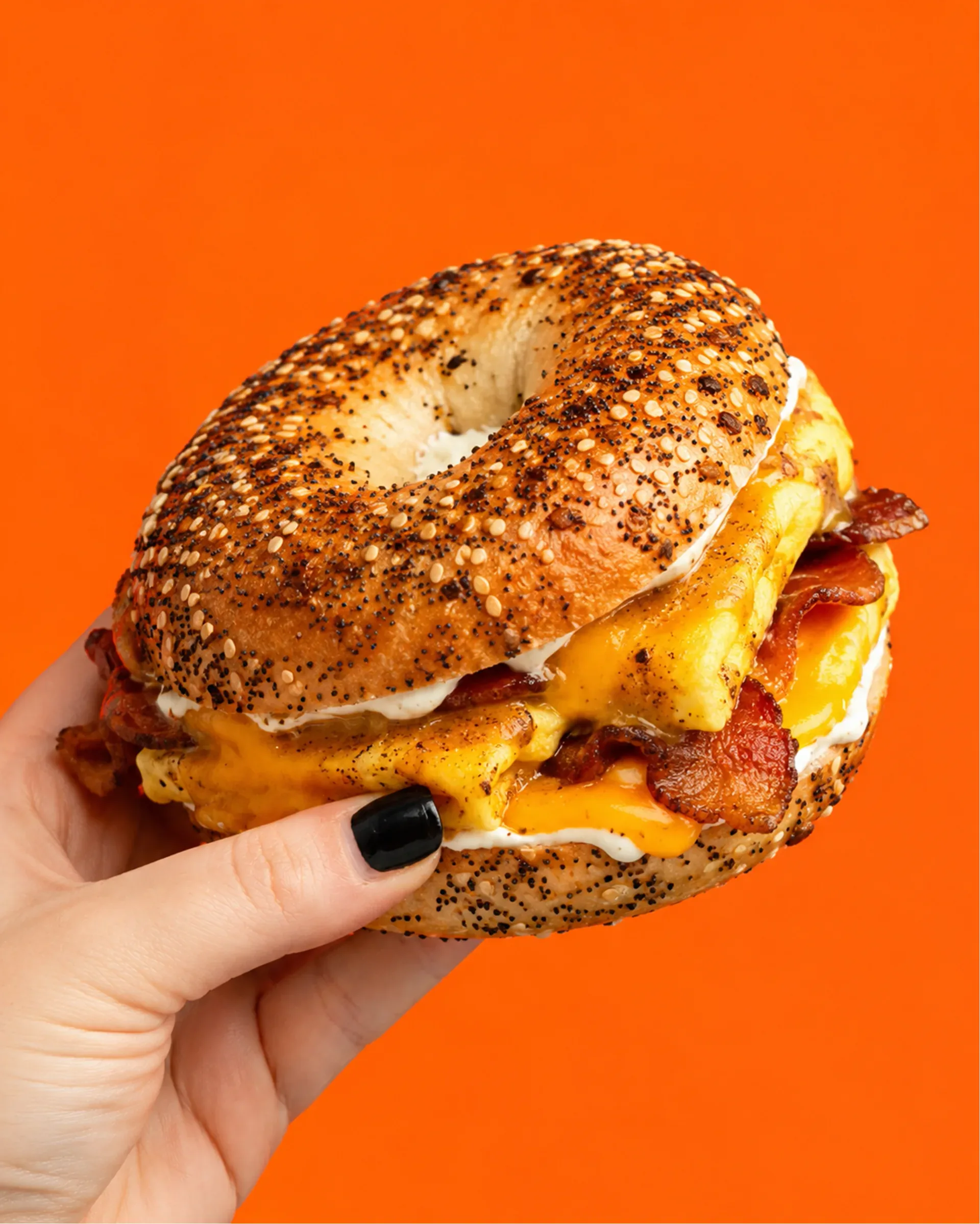 The Cincinnati Bagel Co. — A Cincinnati Bagel Co. sandwich handoff at the shop window