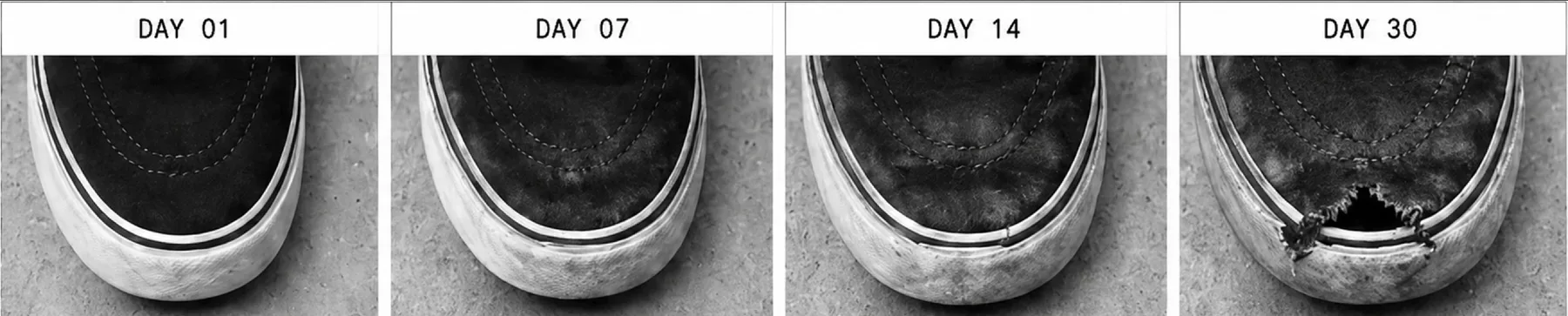 For Daily Use — Day 01 to day 30 progression of a Nike SB shoe wearing down over time